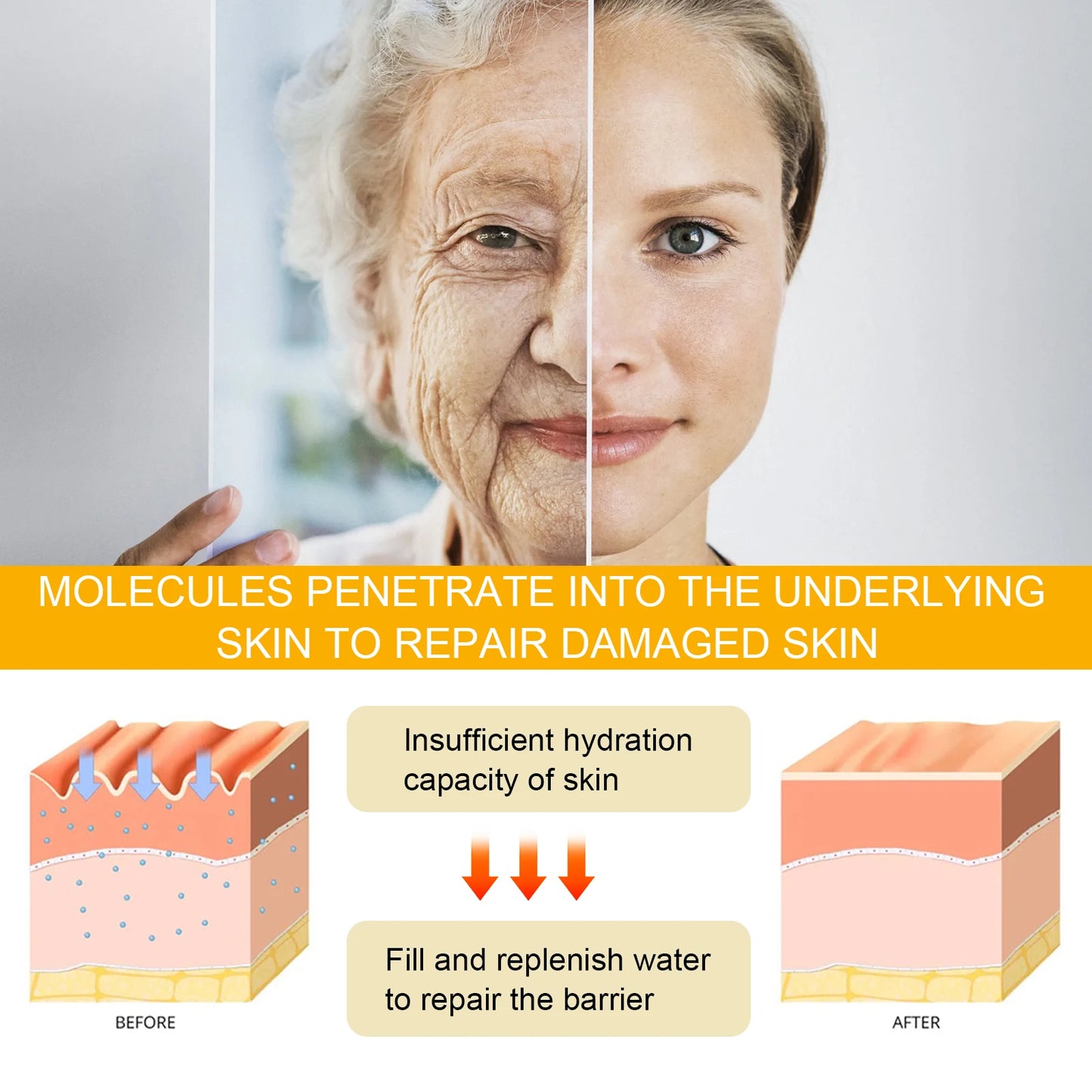 Ginseng Essence Anti Wrinkle Lifting Firming Fade Fine Lines Moisturizing Lightening Hyaluronic Acid Niacinamide Facial Serum