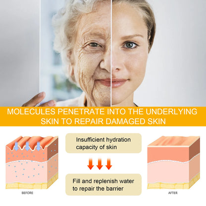 Ginseng Essence Anti Wrinkle Lifting Firming Fade Fine Lines Moisturizing Lightening Hyaluronic Acid Niacinamide Facial Serum